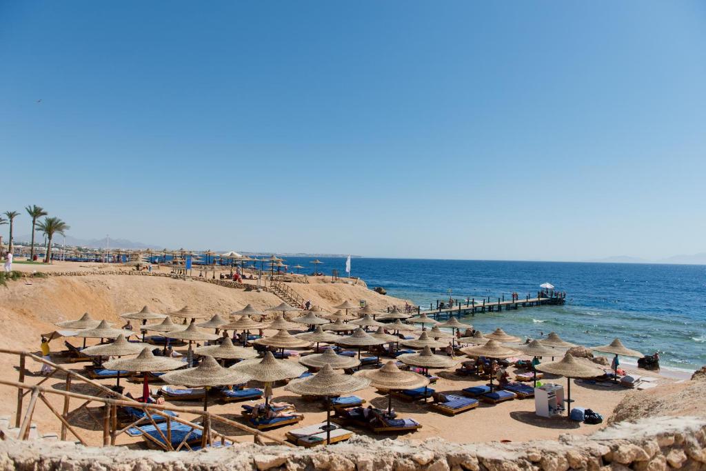 233637737 Amphoras Beach Ultra All Inclusive