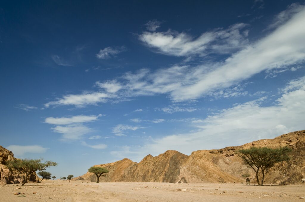 Paesaggio desertico del Sinai in Egitto