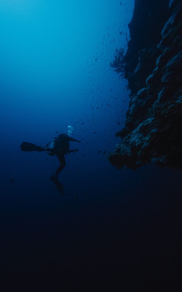 Diving Hurghada + snorkeling · 2 immersioni