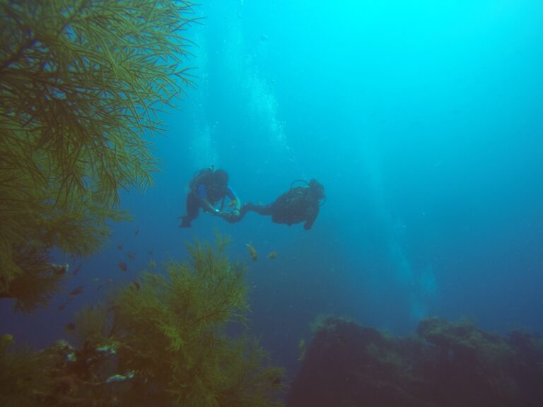 Diving + Orange Bay + snorkeling Hurghada