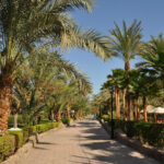 Sharm El Sheikh Tour privato guidato a Naama Bay